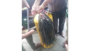প্রাইভেটকারের গ্যাস সিলিন্ডারে মিললো ১৮,৪০০ পিস ইয়াবা প্রাইভেটকারের গ্যাস সিলিন্ডারে মিললো ১৮,৪০০ পিস ইয়াবা